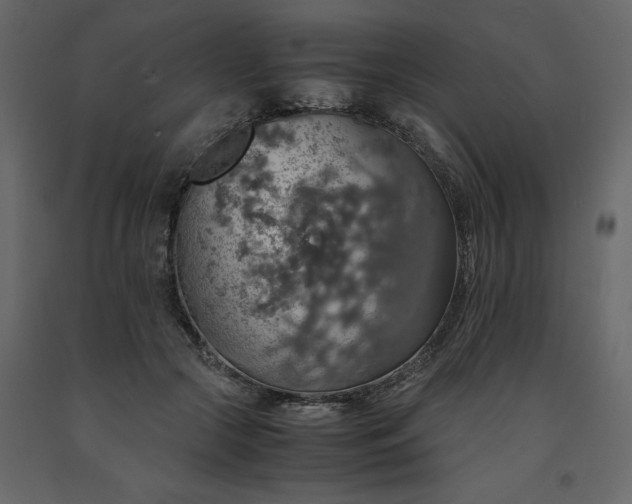 X0000091550553200708241757