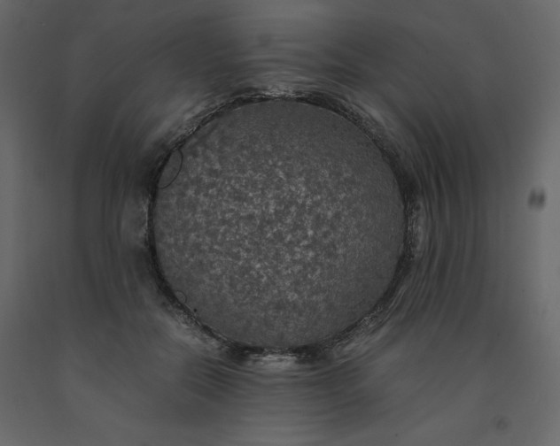 X0000091550554200708241757
