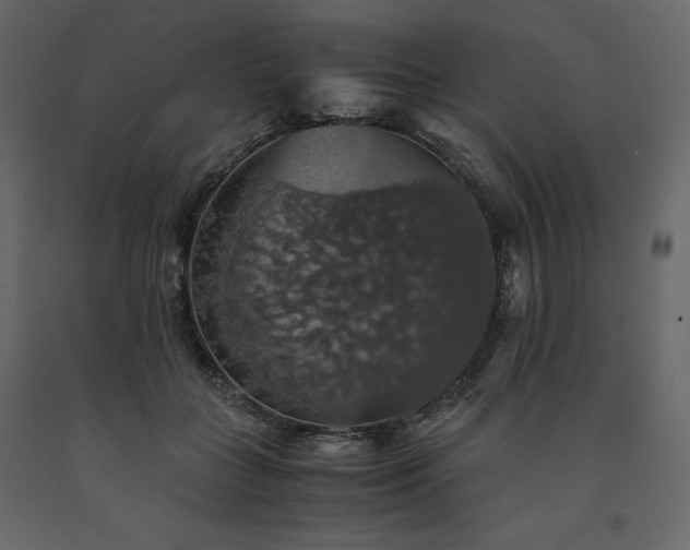 X0000091550555200708241757