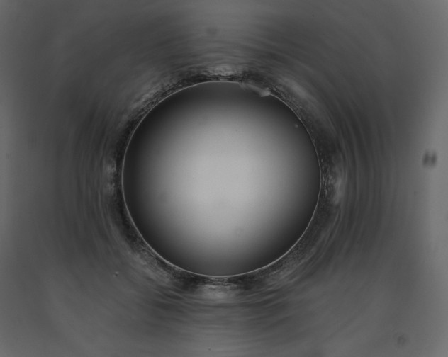 X0000091550556200708241758