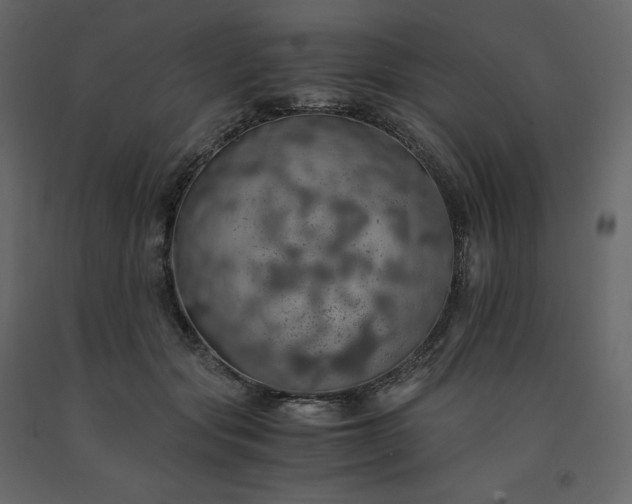 X0000091550557200708241758