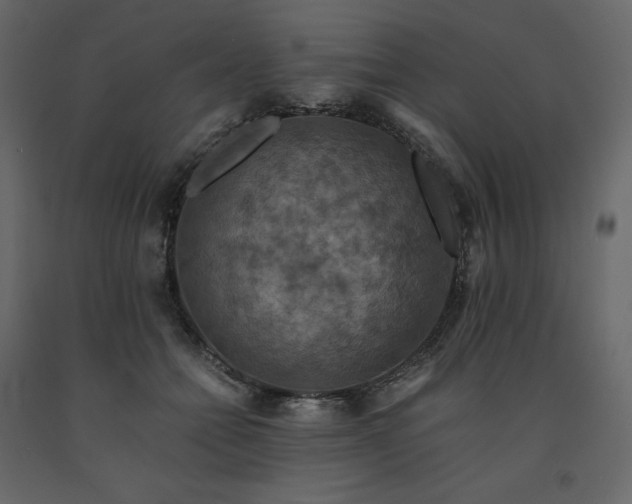 X0000091550558200708241758