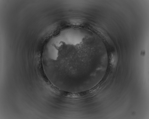 X0000091550559200708241758