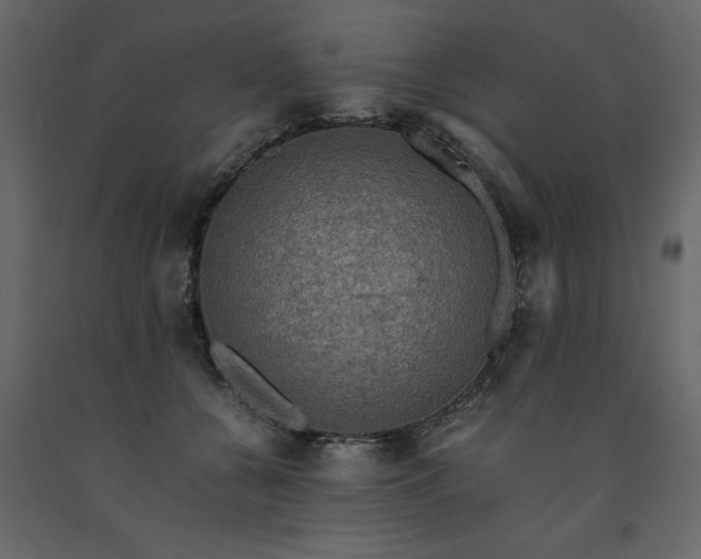 X0000091550560200708241758