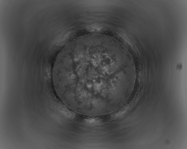X0000091550561200708241758