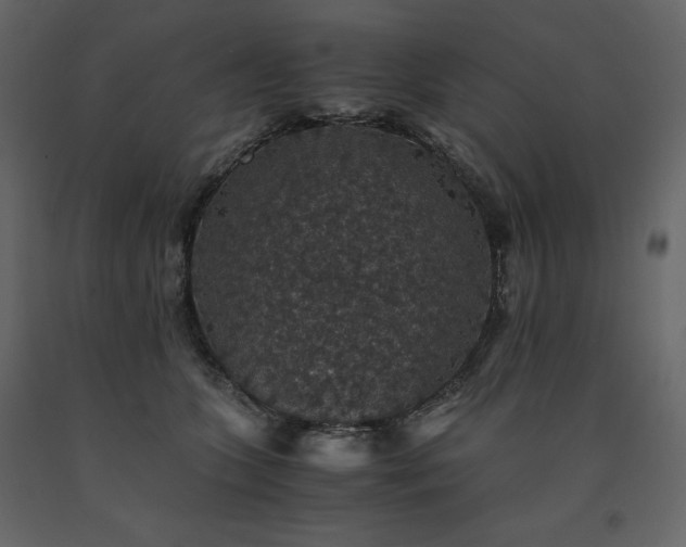 X0000091550563200708241758