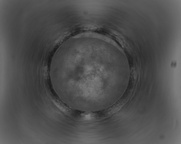 X0000091550564200708241758