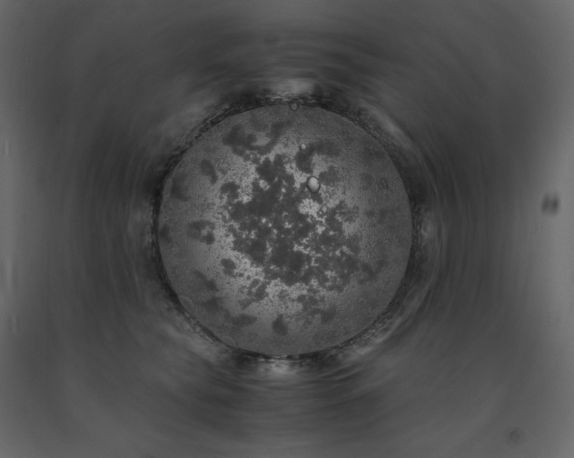 X0000091550565200708241758