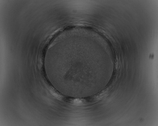 X0000091550566200708241758