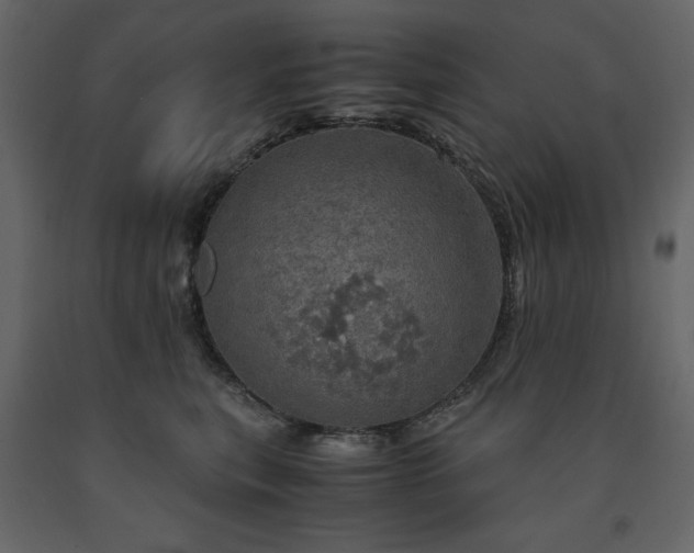 X0000091550567200708241758