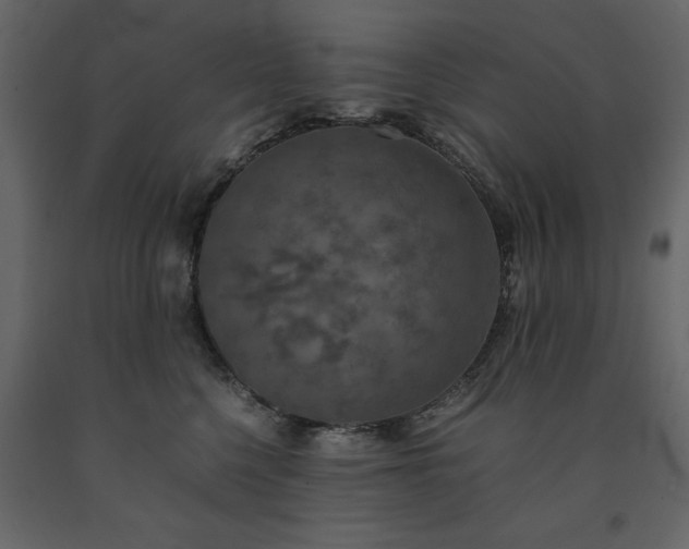 X0000091550568200708241758
