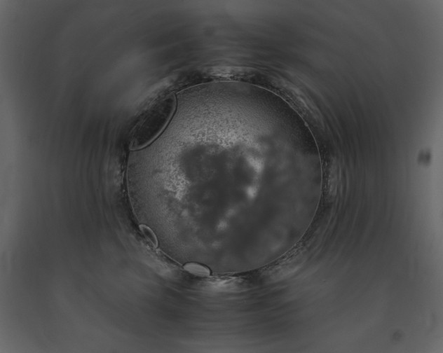 X0000091550569200708241758