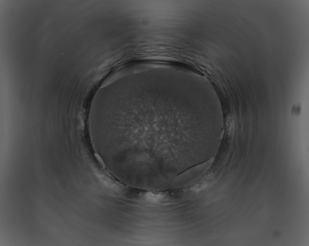 X0000091550570200708241758