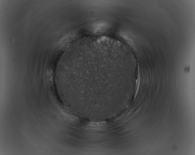 X0000091550571200708241758