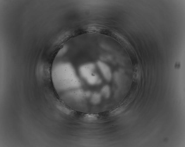 X0000091550573200708241758