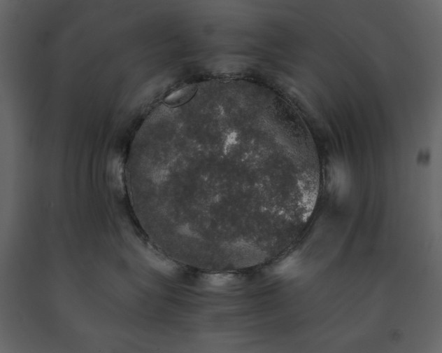 X0000091550575200708241758