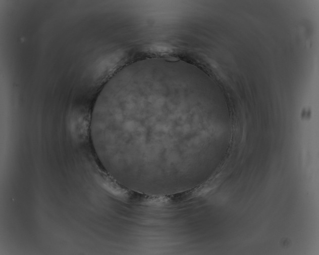 X0000091550576200708241758