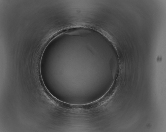 X0000091550577200708241757