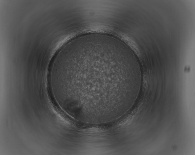 X0000091550578200708241757