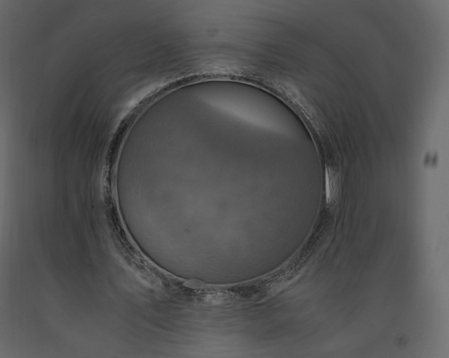 X0000091550579200708241757