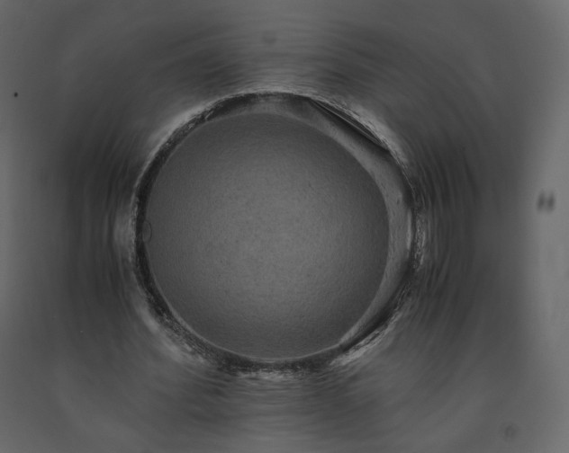 X0000091550580200708241757