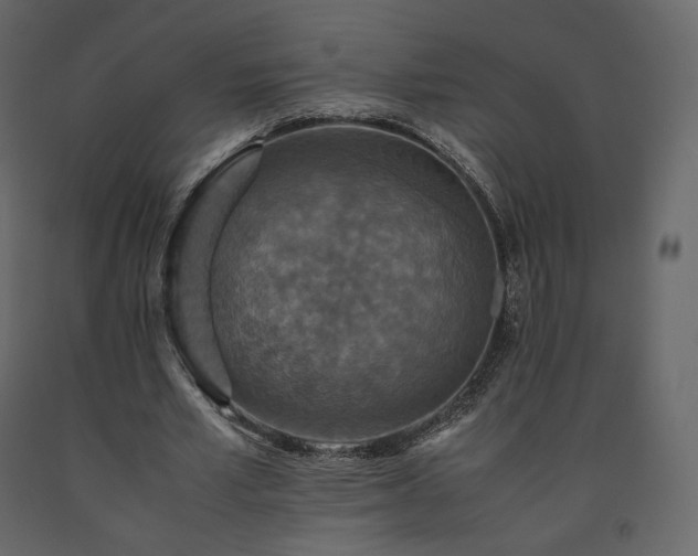 X0000091550581200708241757