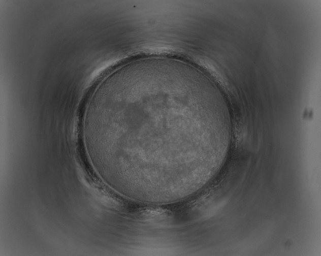 X0000091550583200708241757
