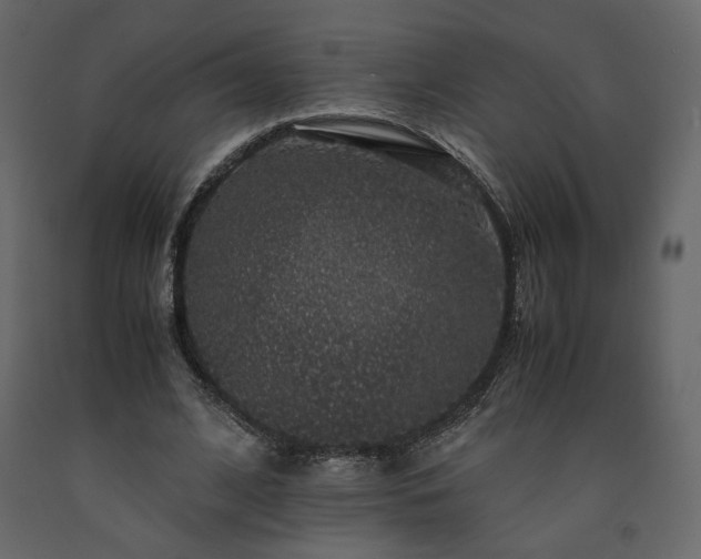 X0000091550584200708241757