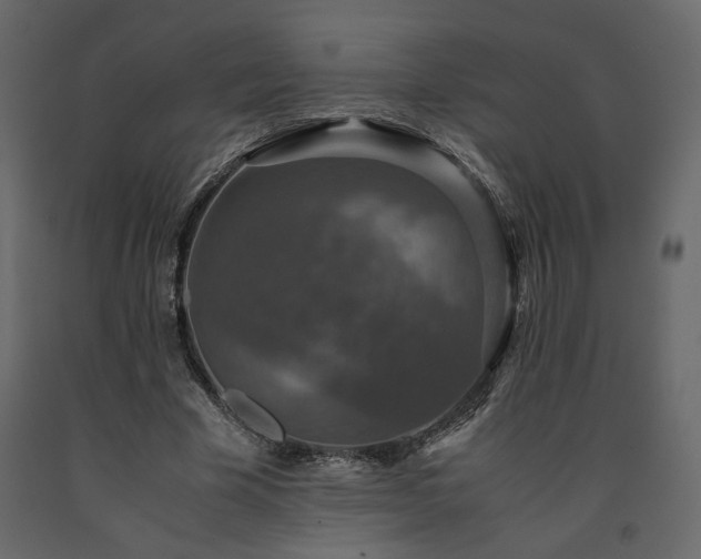 X0000091550585200708241757