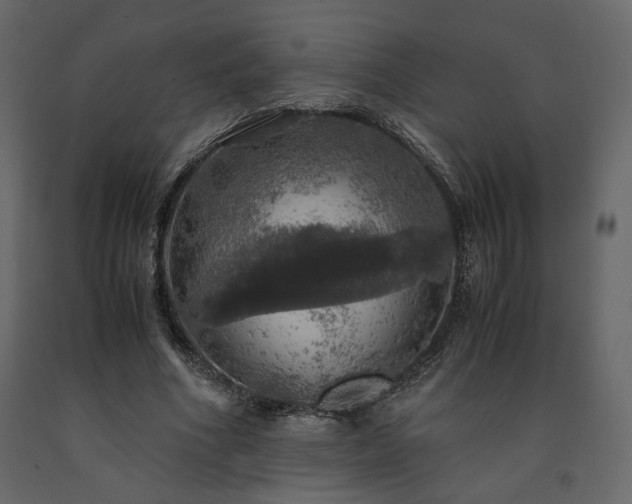 X0000091550586200708241757