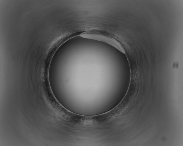 X0000091550587200708241757