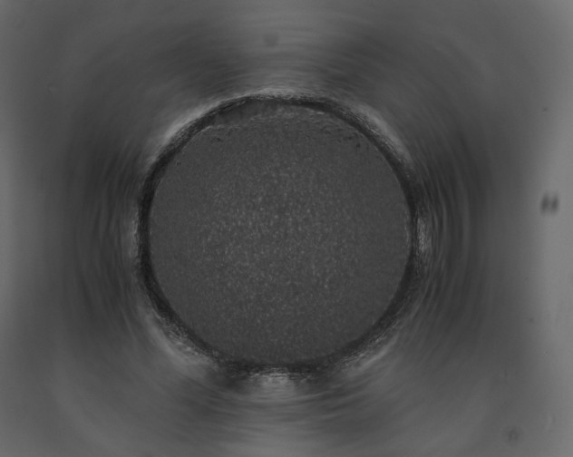 X0000091550588200708241757