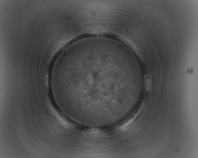 X0000091550589200708241757