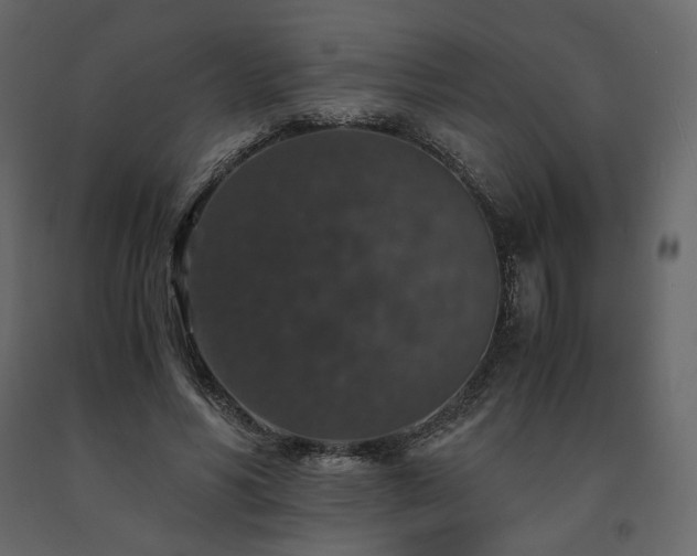 X0000091550590200708241757