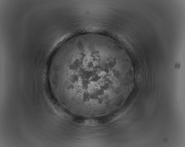 X0000091550591200708241757