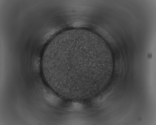 X0000091550592200708241757