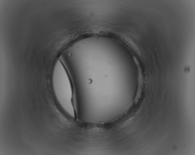 X0000091550593200708241757