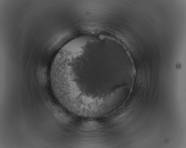 X0000091550594200708241757