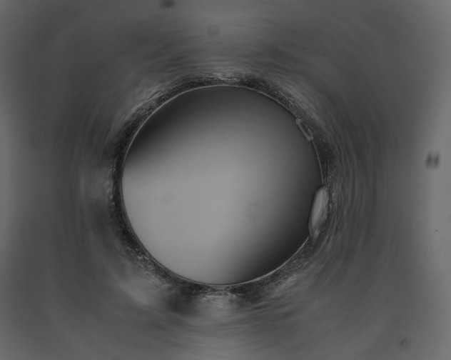 X0000091550595200708241757