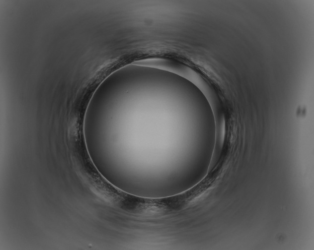 X0000091550597200708241757