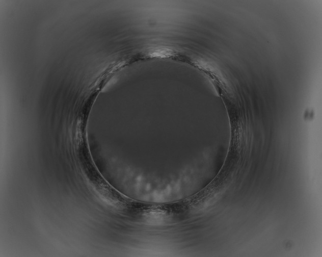 X0000091550598200708241757