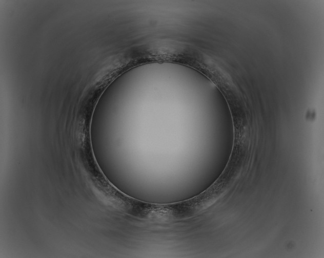 X0000091550599200708241757