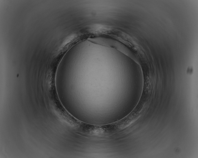 X0000091550600200708241757