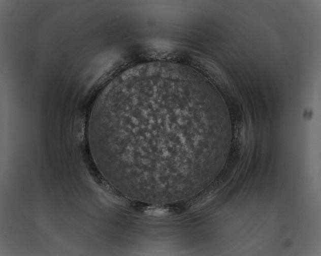 X0000091550602200708241757
