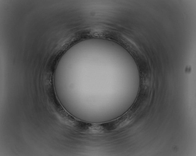 X0000091550603200708241757