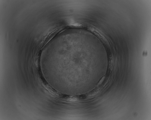 X0000091550604200708241757