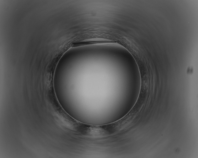 X0000091550605200708241757