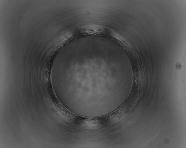 X0000091550606200708241757