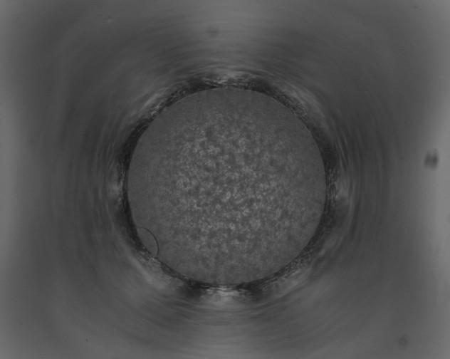 X0000091550607200708241757