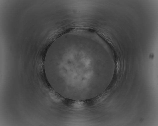 X0000091550609200708241757